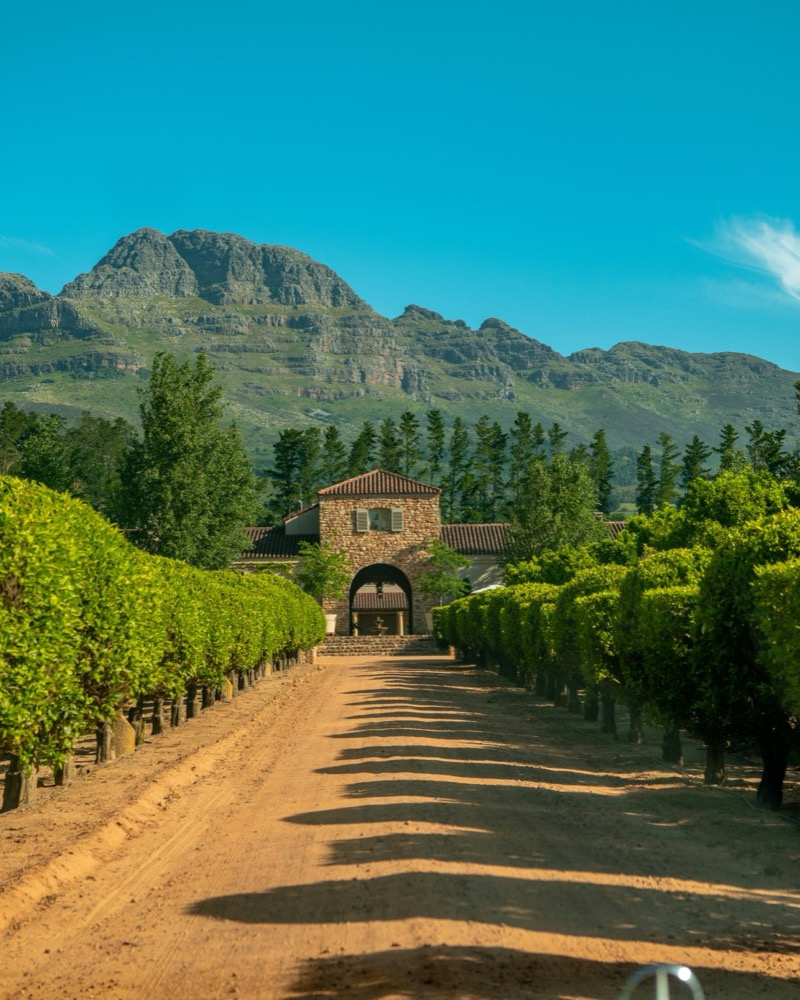 Stellenbosch